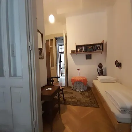 Danube River View Close To Parlament Budapest