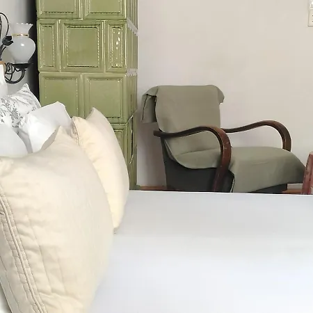 Danube River View Close To Parlament