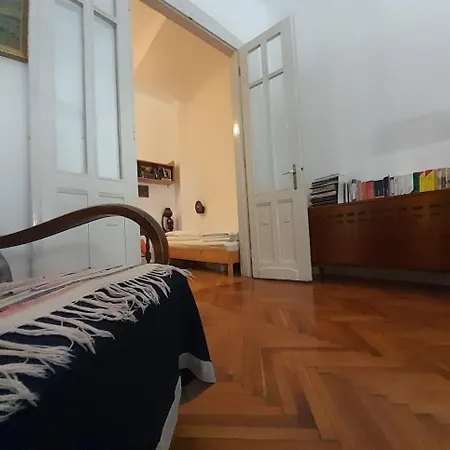 Danube River View Close To Parlament