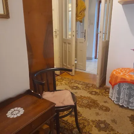 Danube River View Close To Parlament