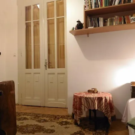 Danube River View Close To Parlament