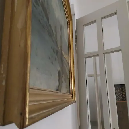 Danube River View Close To Parlament